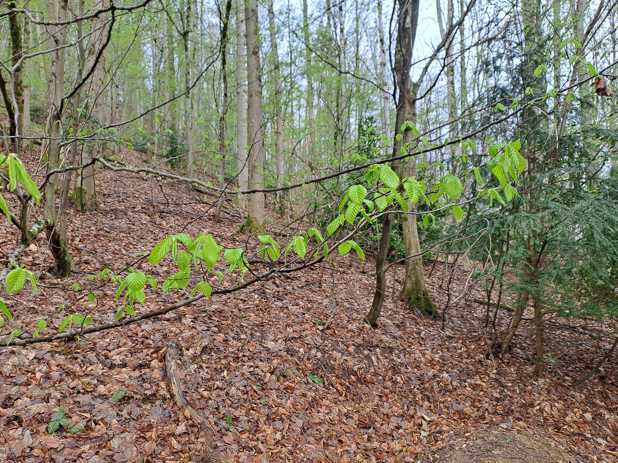 20230402103227 103227